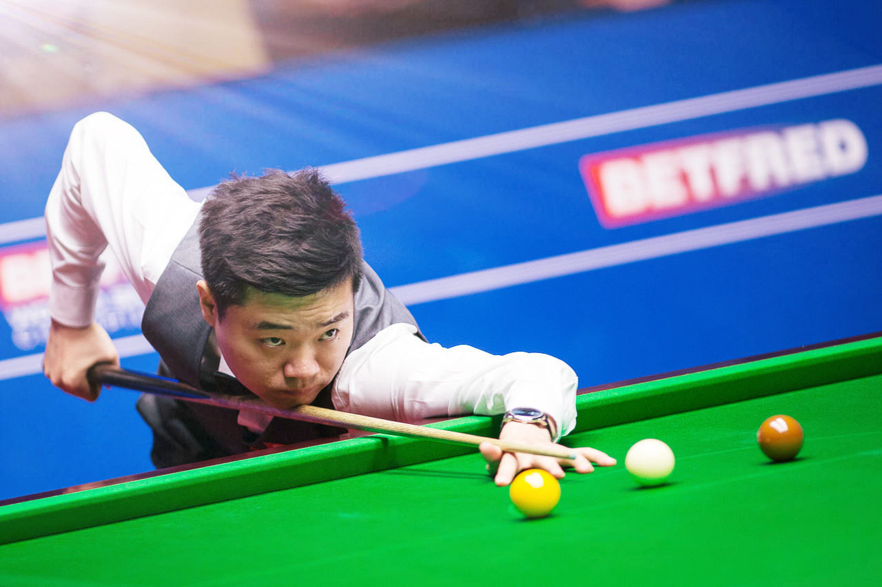 他们不仅凭 他们不仅凭