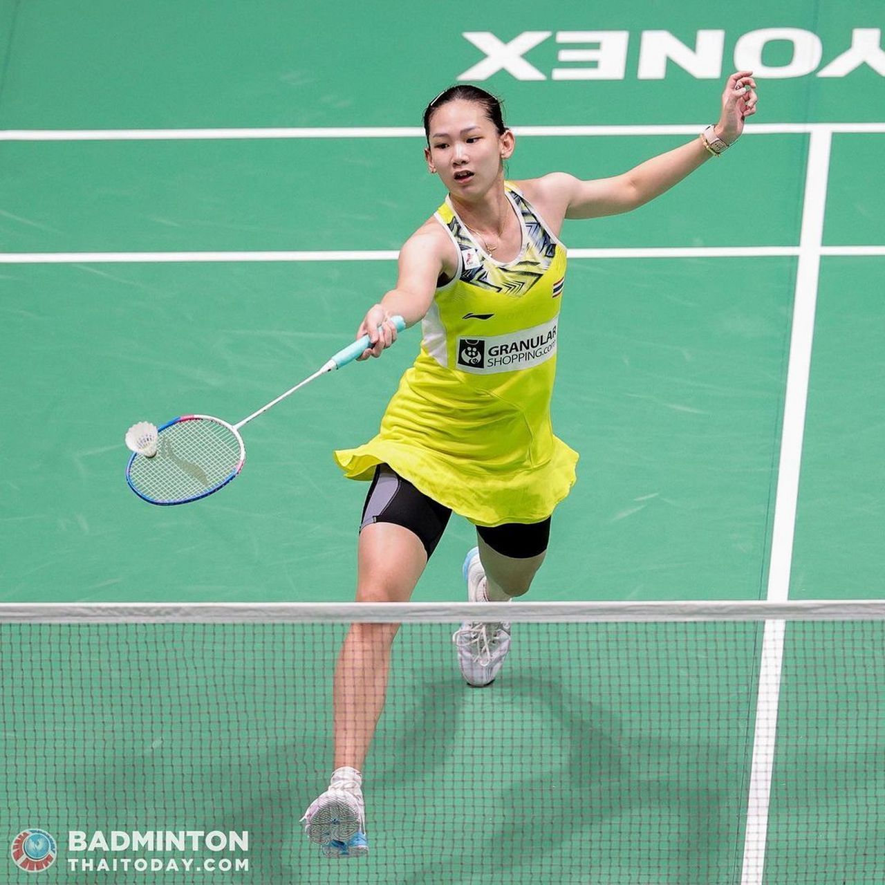 高效高分背 高效高分背