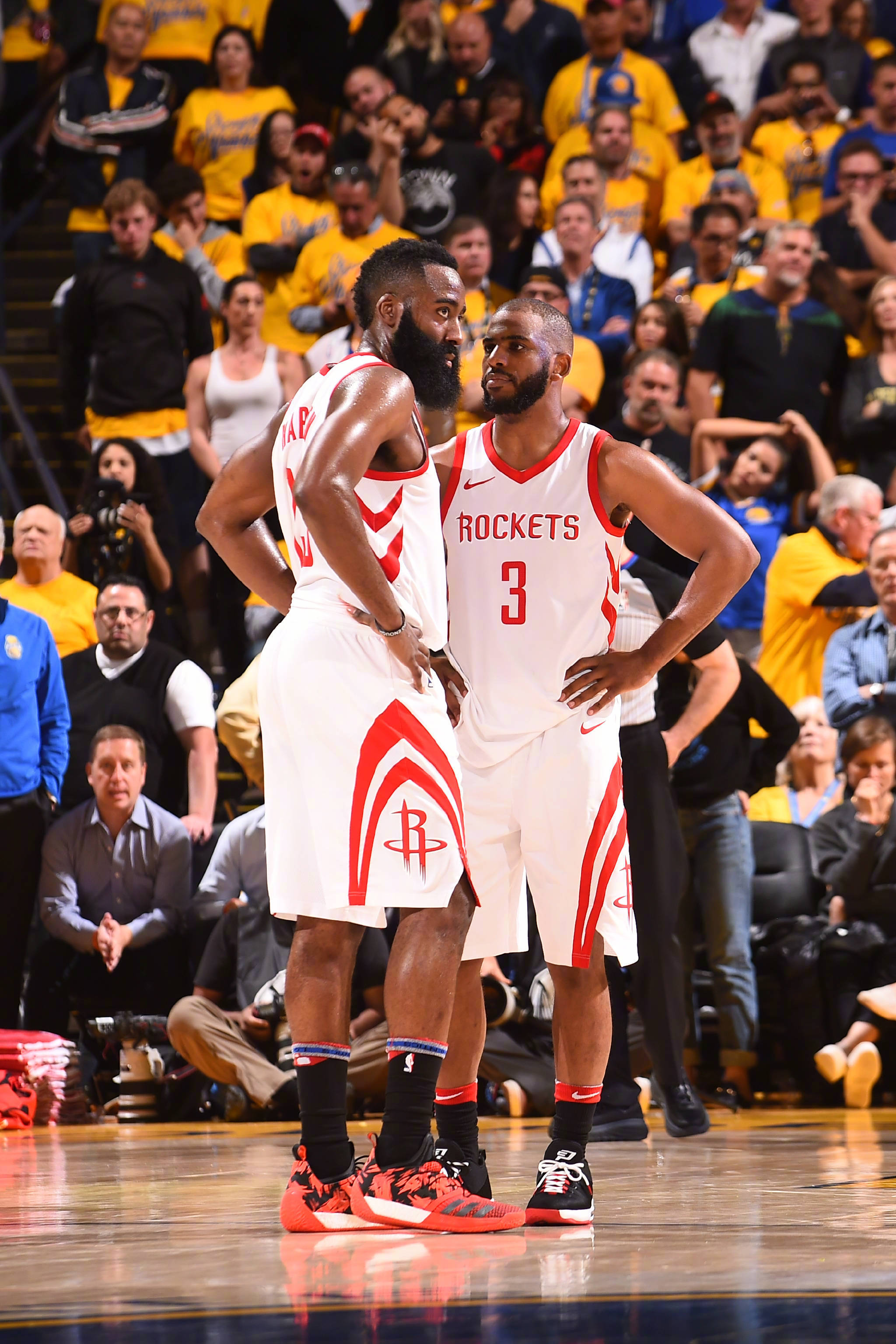 球的兴趣高 球的兴趣高