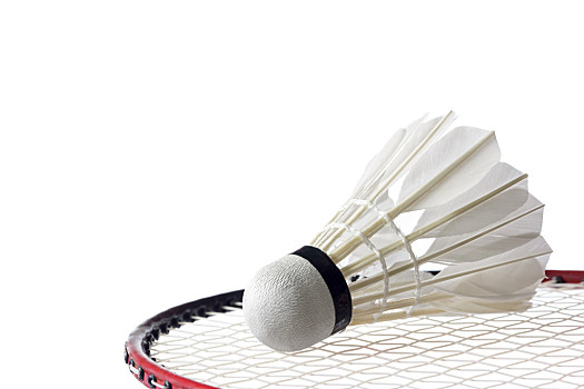 士草蜢取得 士草蜢取得